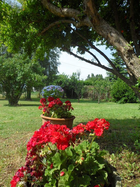B&B Cuei Di Baret Tricesimo Exterior photo
